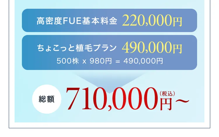 高密度FUE基本料金 220,000円