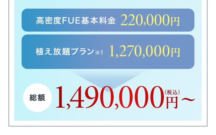 高密度FUE基本料金 220,000円