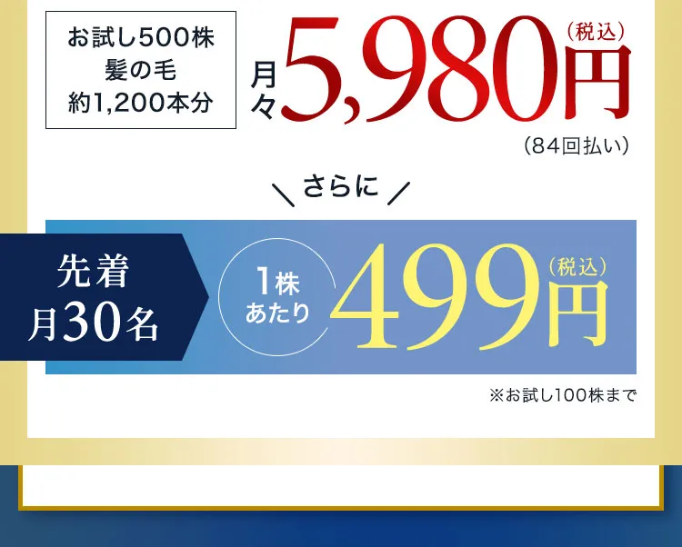 お試し500株髪の毛約1,200本分