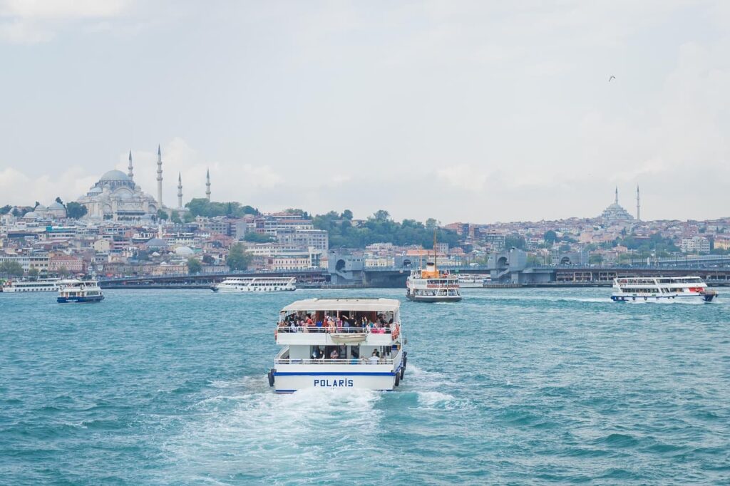 トルコ植毛とは？